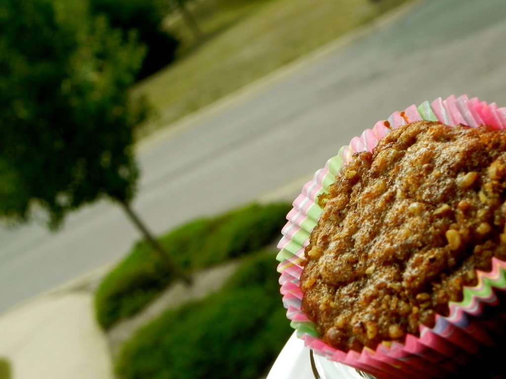 Cran-Oat Muffins | thepajamachef.com
