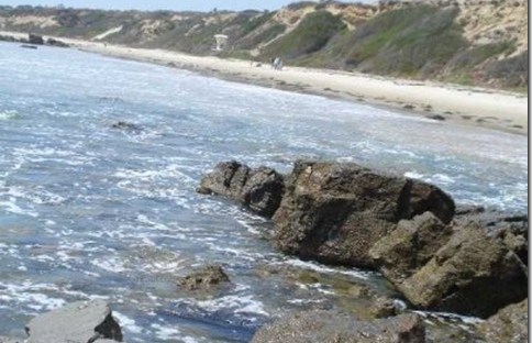 Crystal Cove State Park