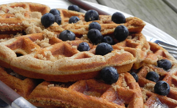 Spiced Waffles - an easy make-ahead #breakfast you can enjoy all week long with fresh fruit via thepajamachef.com Spiced Waffles - an easy make-ahead #breakfast you can enjoy all week long with fresh fruit via thepajamachef.com