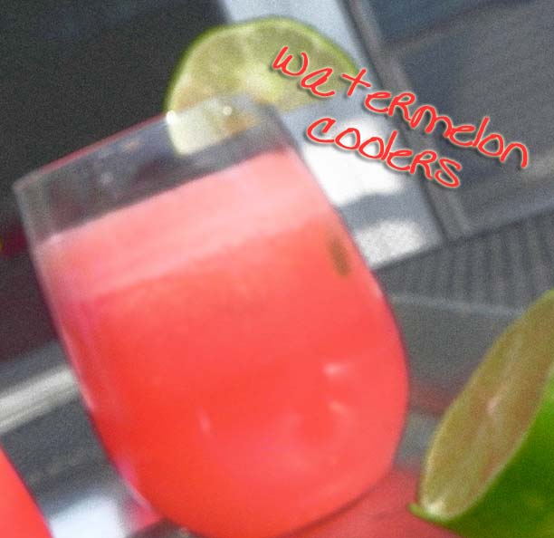 Watermelon Coolers | thepajamachef.com