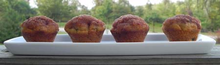 DSCN6090 lined up pumpkin spice muffins on a balcony