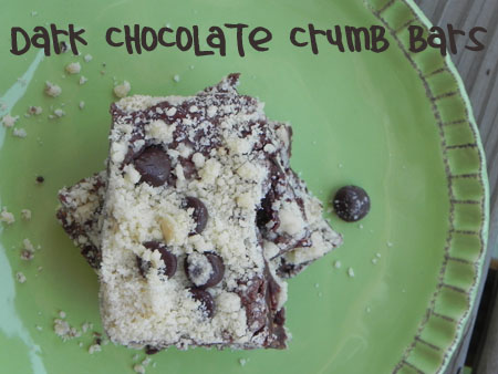 dark chocolate crumb bars image on plate