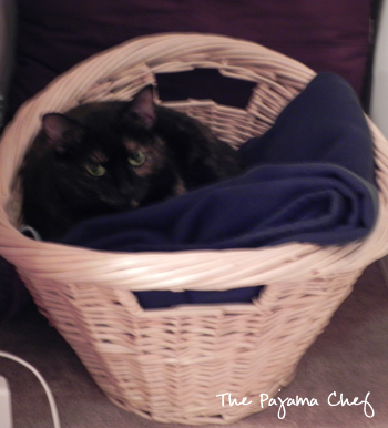 Sheba | The Pajama Chef