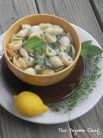 Creamy Shells and Yogurt | thepajamachef.com