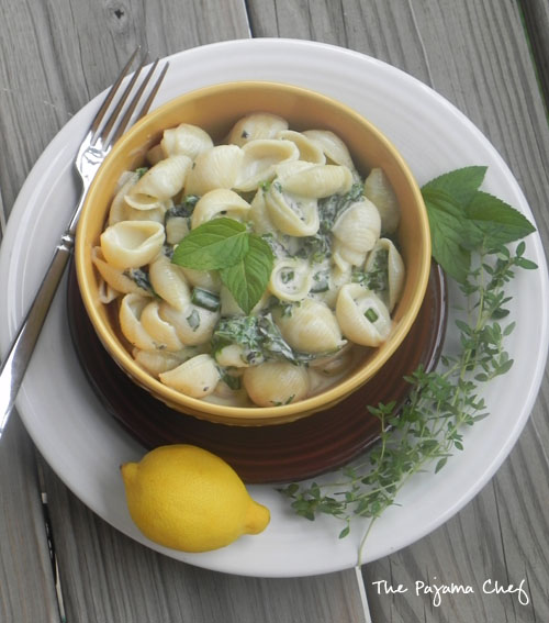 Creamy Shells and Yogurt | thepajamachef.com