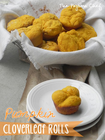 Pumpkin Cloverleaf Rolls | thepajamachef.com