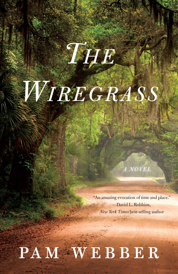 The Wiregrass - a book review on thepajamachef.com #reading #southern #summer #beachreads