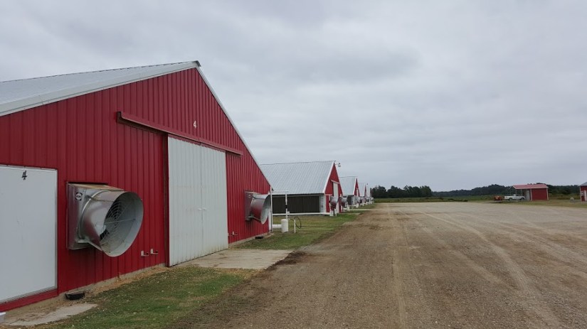 A recipe for simple teriyaki crockpot chicken and a review of #CareToFarm15 - read on to learn more about our food industry!