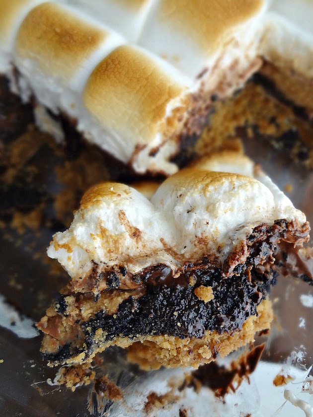 Peanut Butter Cup S'mores Brownies
