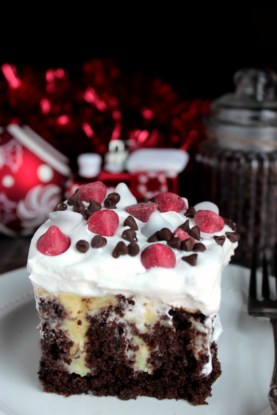 Christmas Menu Plan - lots of great ideas for the perfect holiday dinner!