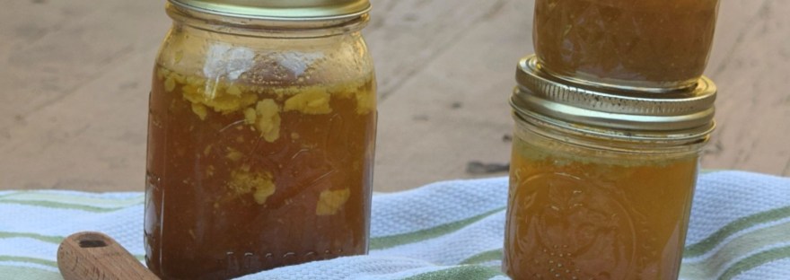Homemade Chicken Stock. Easy, frugal, and utterly delicious! 
